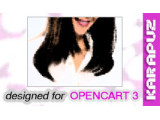 Free Shipping Teaser (Opencart 3)